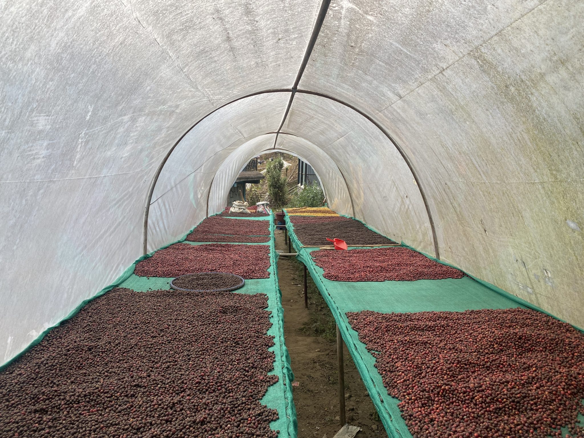 PERM sürecinin aşamaları